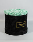 Magnificent mint green Roses symbolising health, luck, and energy.