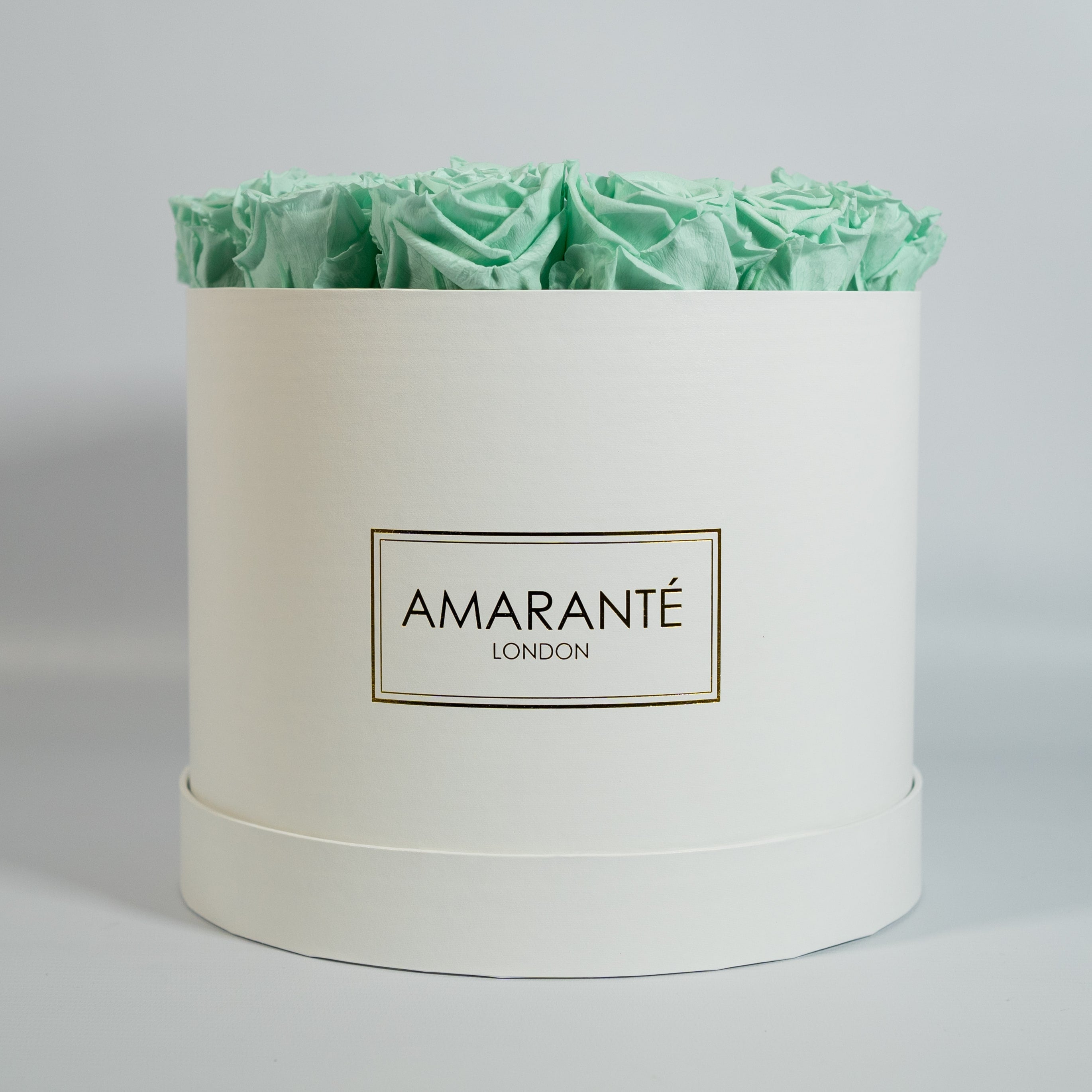 Cool mint green Roses connoting energy, good health, and peace