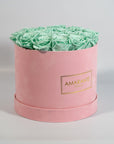 Elegant mint green Roses implying nature and energy