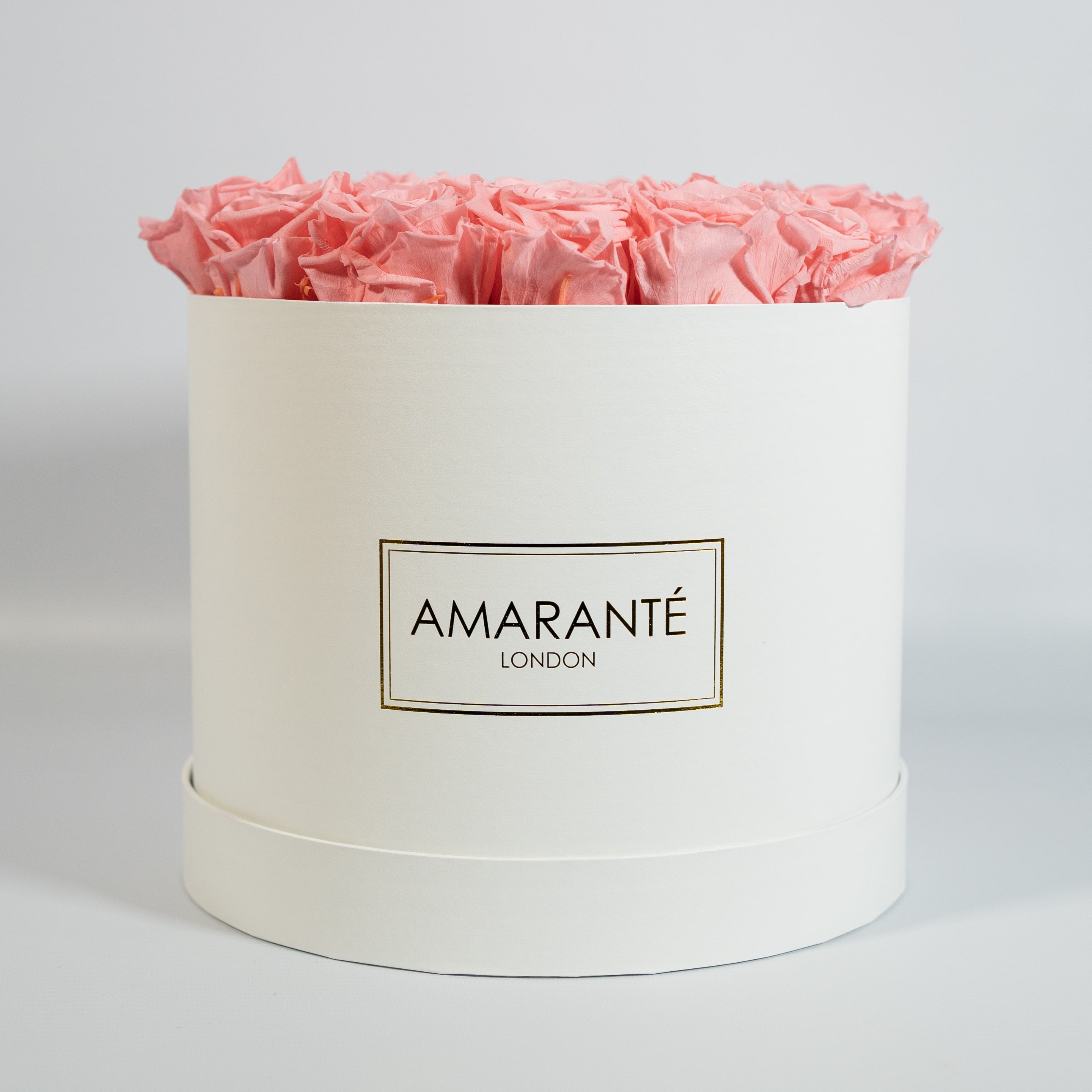 Delicate light pink Roses encompassed in a magical white box