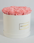 Tender light pink Roses denoting beauty, love, and romance.