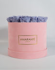 fragrant lavender Roses expressing calmness and peace.