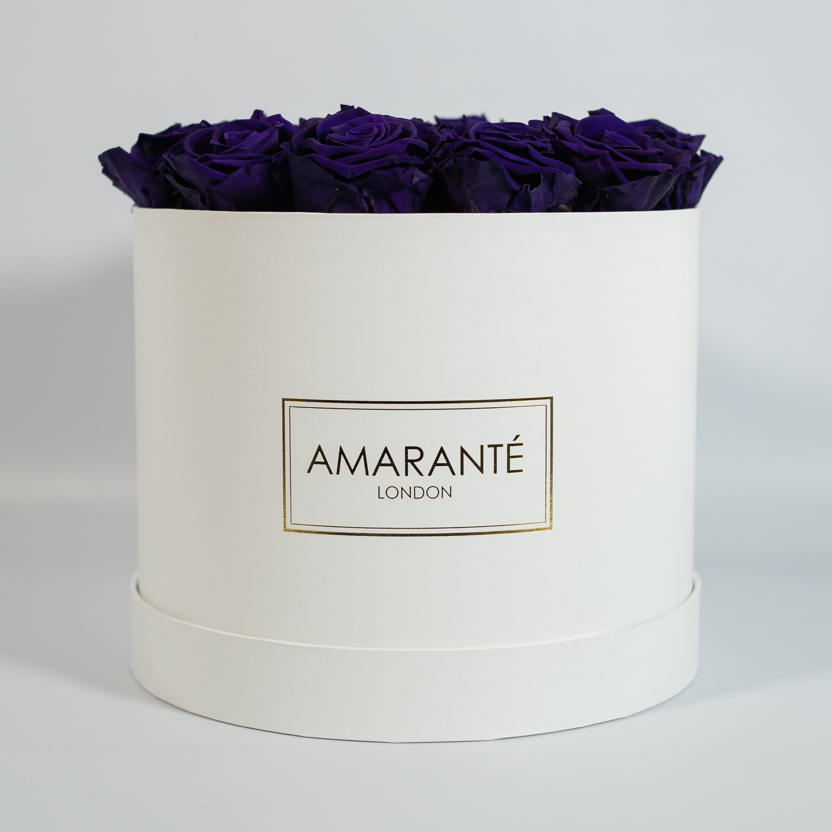 Dapper dark purple Roses comprised in a stunning white large round box