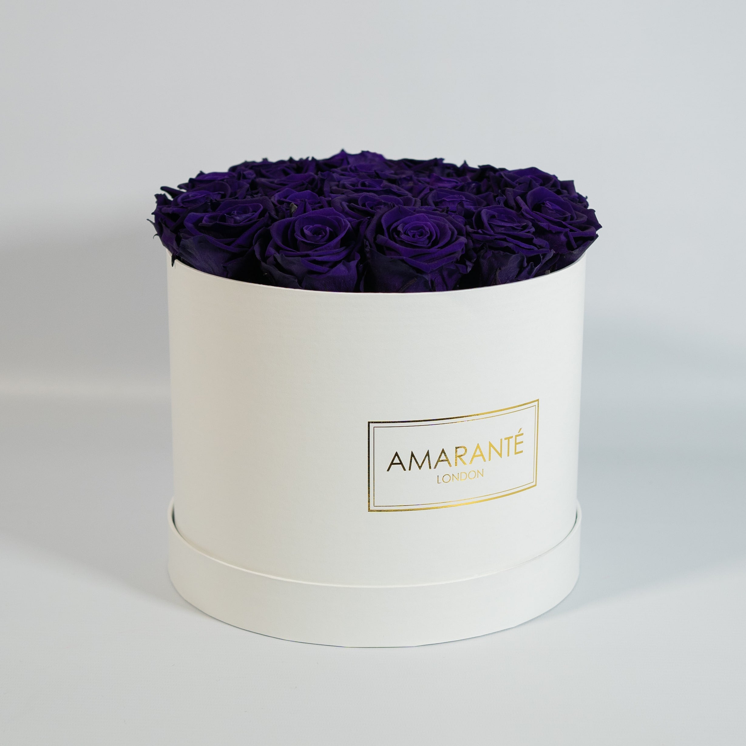 Artful dark purple Roses expressing wisdom, protection, and security.