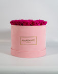 Distinctive hot pink Roses denoting care, and sympathy.