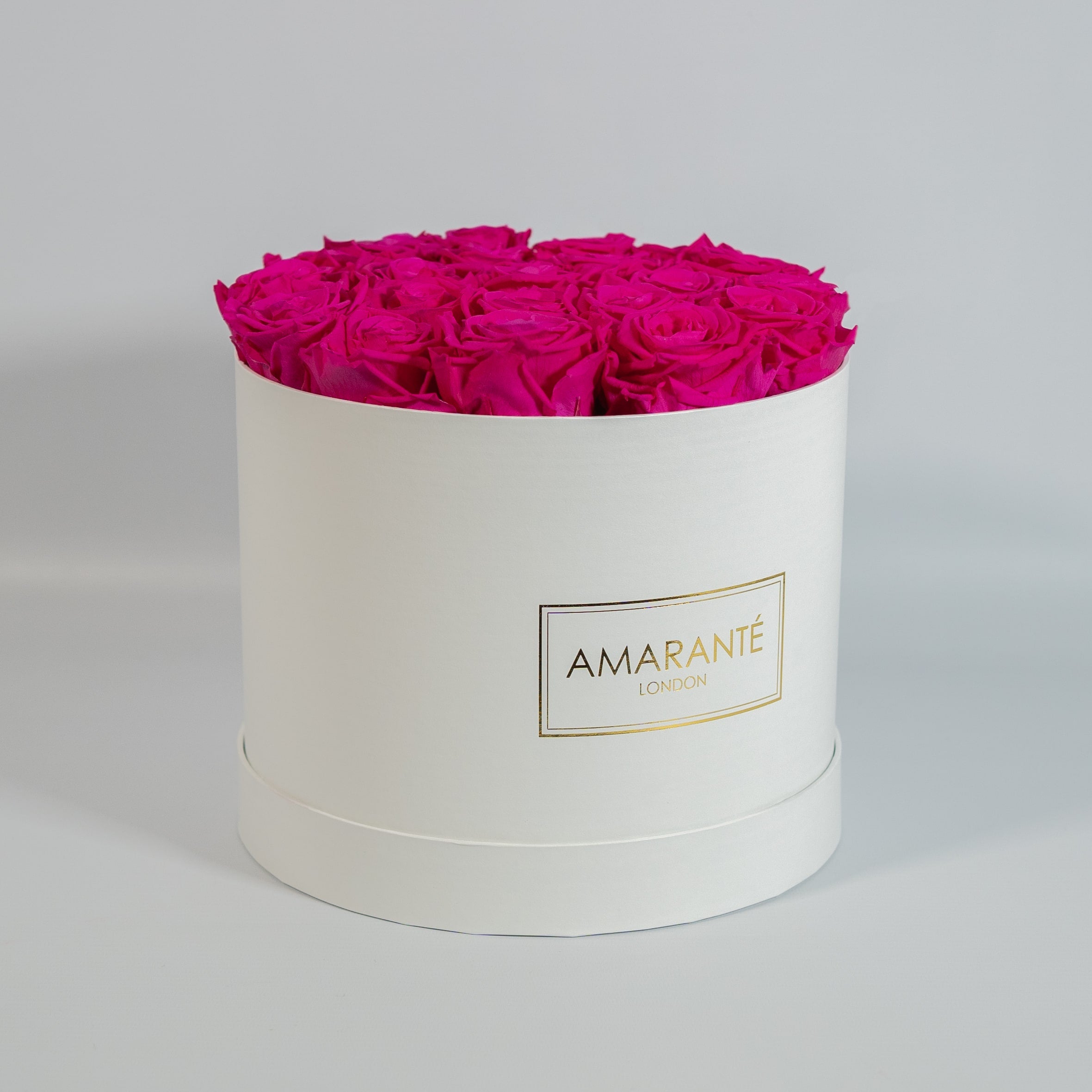 Distinctive hot pink Roses implying beauty, playfulness, and romance.