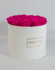 Distinctive hot pink Roses implying beauty, playfulness, and romance.