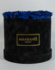 Magnificent royal blue Roses representing royalty, luxury, and protection.