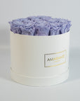 Abloom lavender Roses suggesting spring, calmness, and peace.