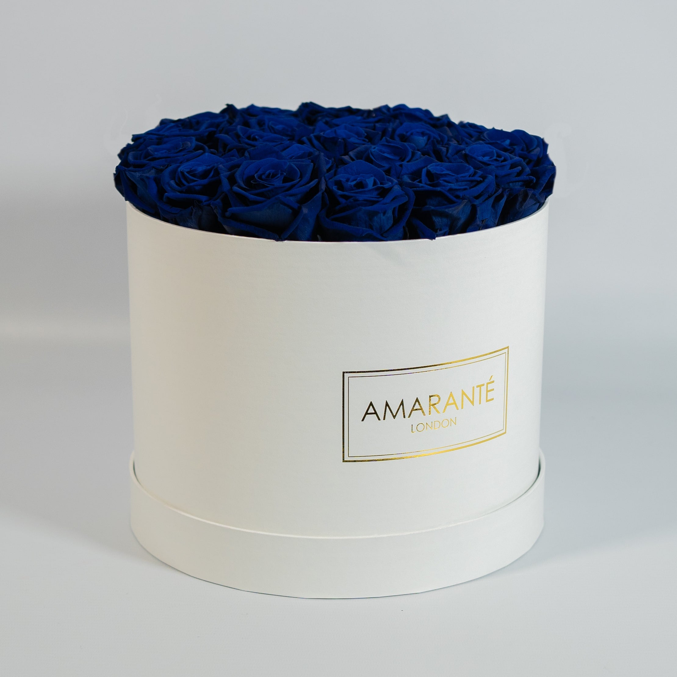 Captivating royal blue Roses implying protection, luxury, and security.