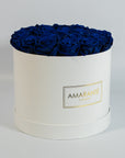 Captivating royal blue Roses implying protection, luxury, and security.
