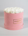 Sophisticated white Roses in an enchanting pink suede box