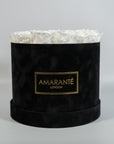 Fragrant white Roses suggesting purity, balance, and clarity.