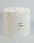 Heart-warming white Roses exhibited in an amazing white large box