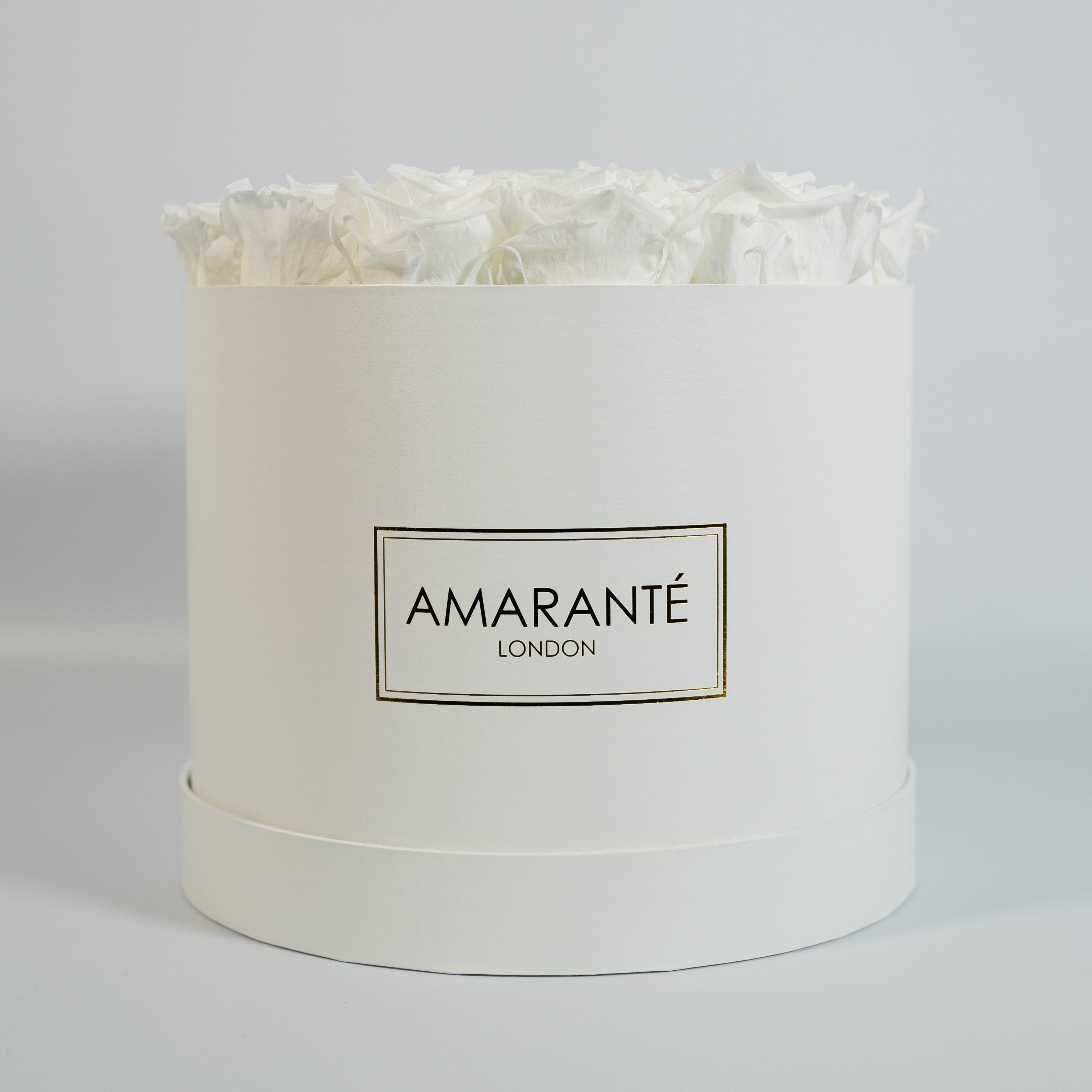 Majestic white Roses suggesting balance and clarity, an idyllic choice for weddings.