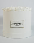 Majestic white Roses suggesting balance and clarity, an idyllic choice for weddings.