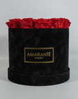 Divine red Roses connoting romance, love and beauty.