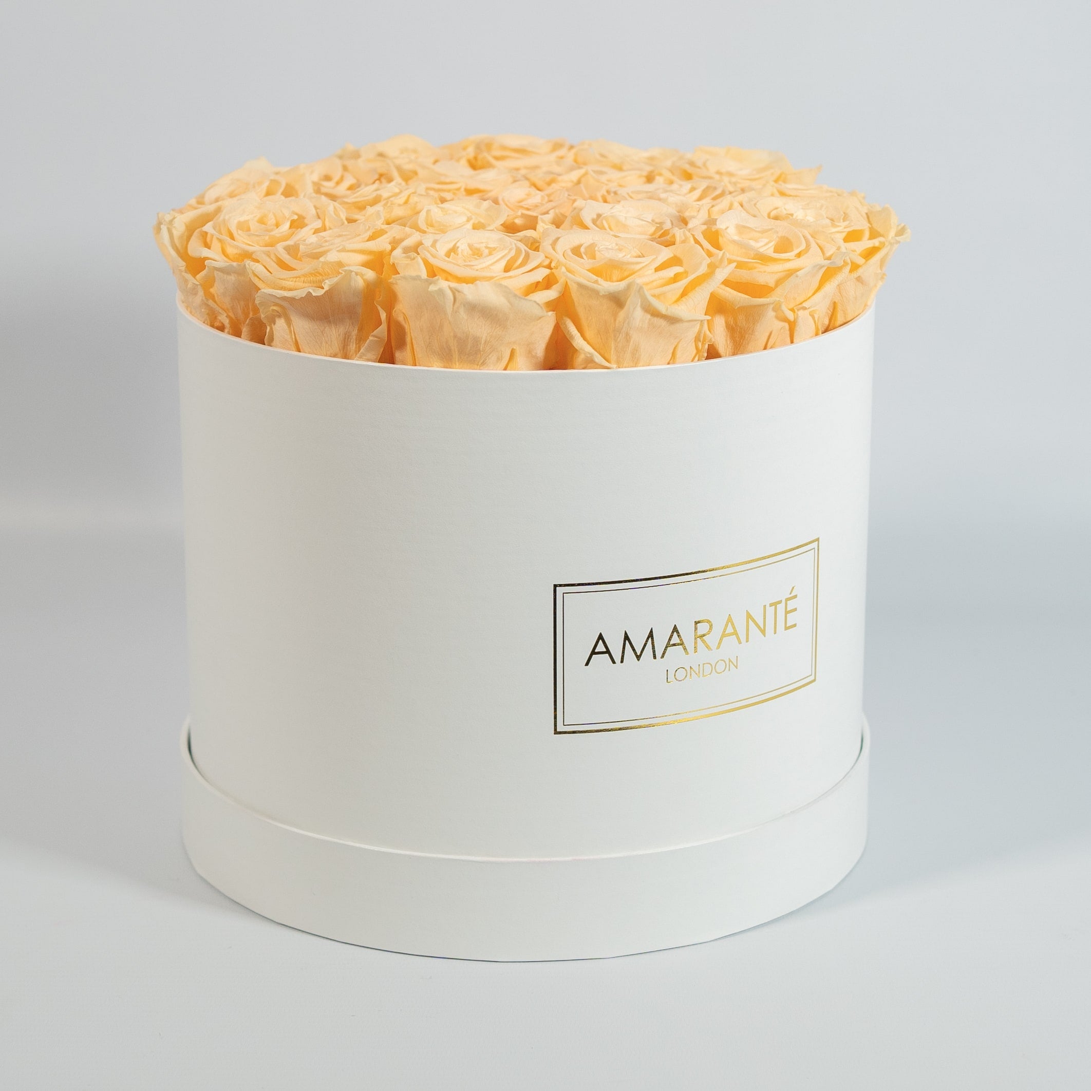 Tranquilising peach Roses showcased in a vogueish white large box