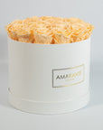 Tranquilising peach Roses showcased in a vogueish white large box