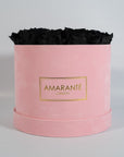 Bold black Roses in a colourful pink suede pack