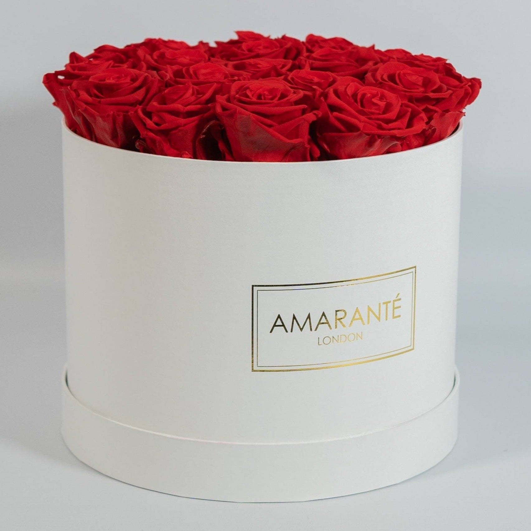 Dreamy red Roses displayed in a dapper white round box in large size 