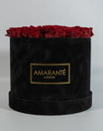 Divine wine red Roses in a polished black box