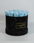 Alluring light blue Roses in a trendy black box