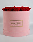 Elegant red Roses connoting love and romance