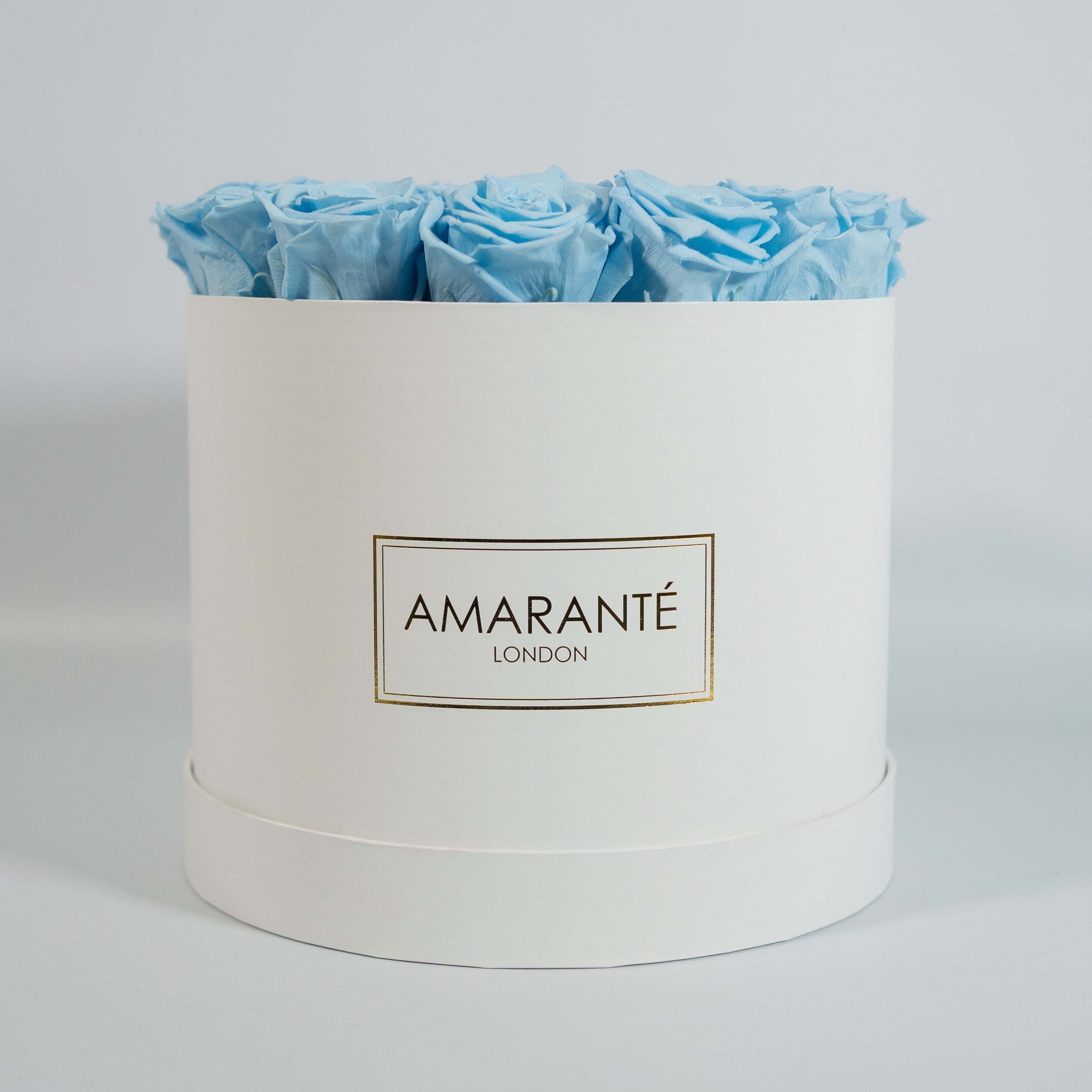 Cool light blue Roses photographed in a chic white box