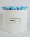 Cool light blue Roses photographed in a chic white box