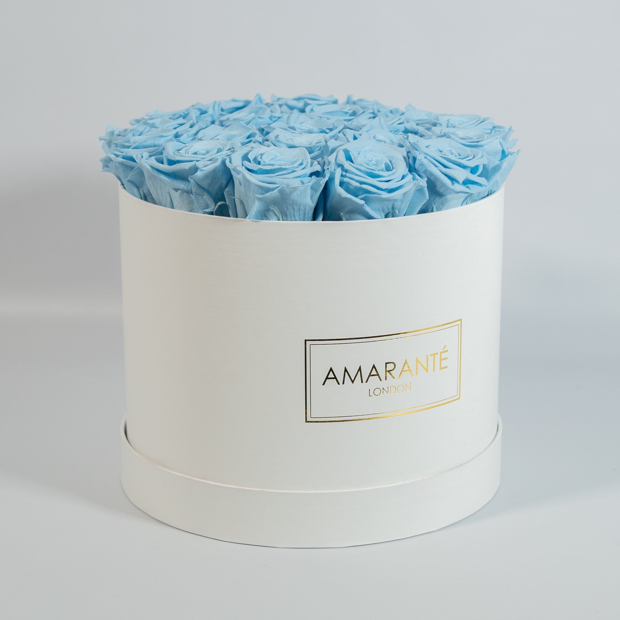 Enchanting light blue Roses implying healing, health, and security.