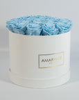 Enchanting light blue Roses implying healing, health, and security.
