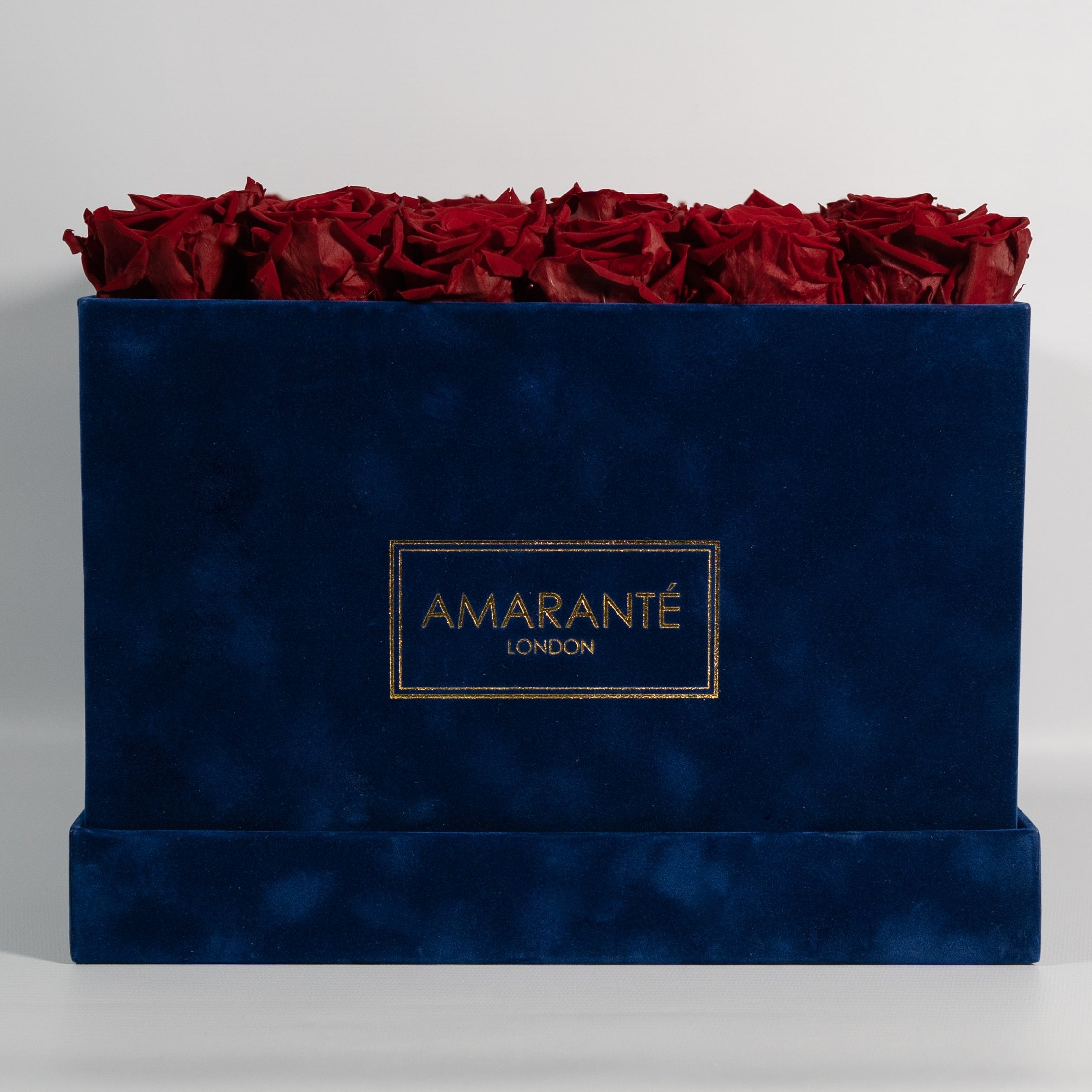 Fragrant red roses, ideal for representing religious fervours and weddings. 