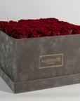 Dapper wine red Roses featured in a stylish grey package.