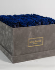 Gorgeous royal blue Roses implying security and protection.
