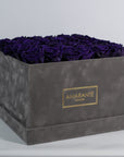 Arranged dark purple Roses in a trendy grey package