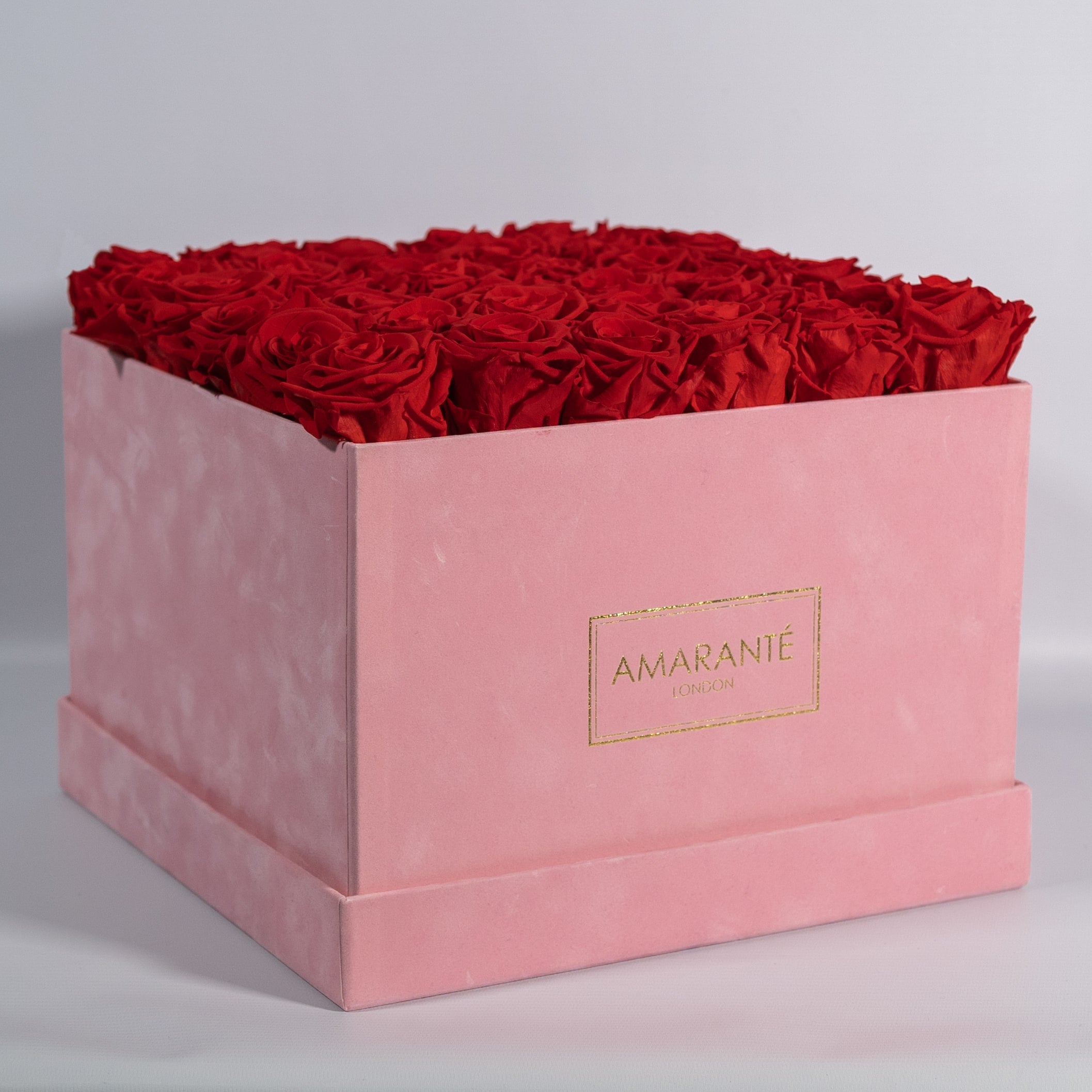 Divine red roses in a blushing pink suede extra large box 