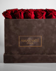 Enchanting red Roses connoting love, romance, and courage