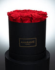 Medium Black Round Matte Rose Box of Infinity Roses
