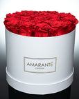 White Round Matte Hatbox - Large