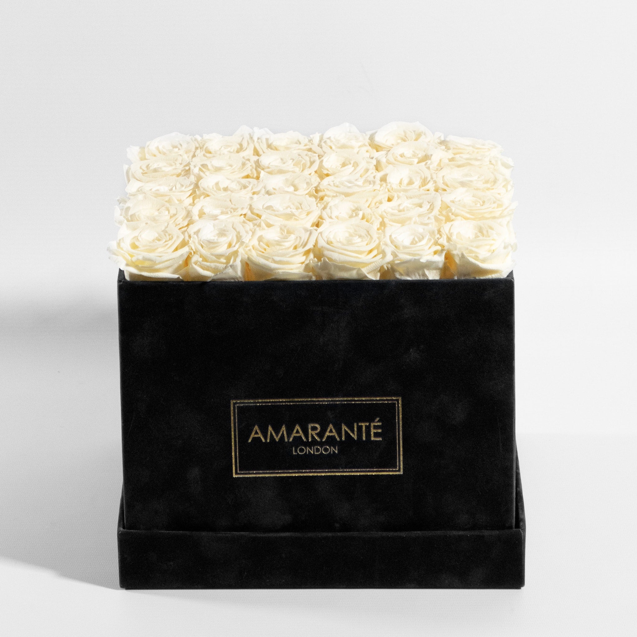 Timeless champagne Roses denoting purity, and clarity.