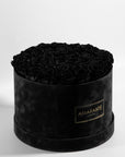 Monochromatic black Roses in a dapper black extra large box, ideal for saying sorry.