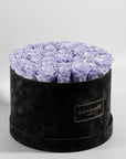 luxurious Lavender Roses in a chic black pack, symbolising care and protection.