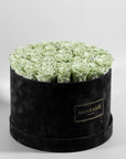 Energising mint green Roses, implying good health, energy, and nature.