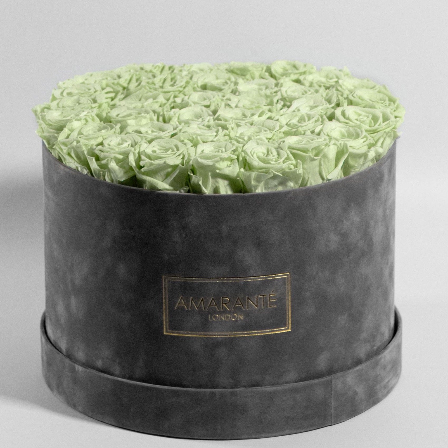 Revitalising min green Roses beaming with energetic colours.