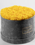 Delightful yellow Roses in a vogueish grey package denoting friendship and warmth.