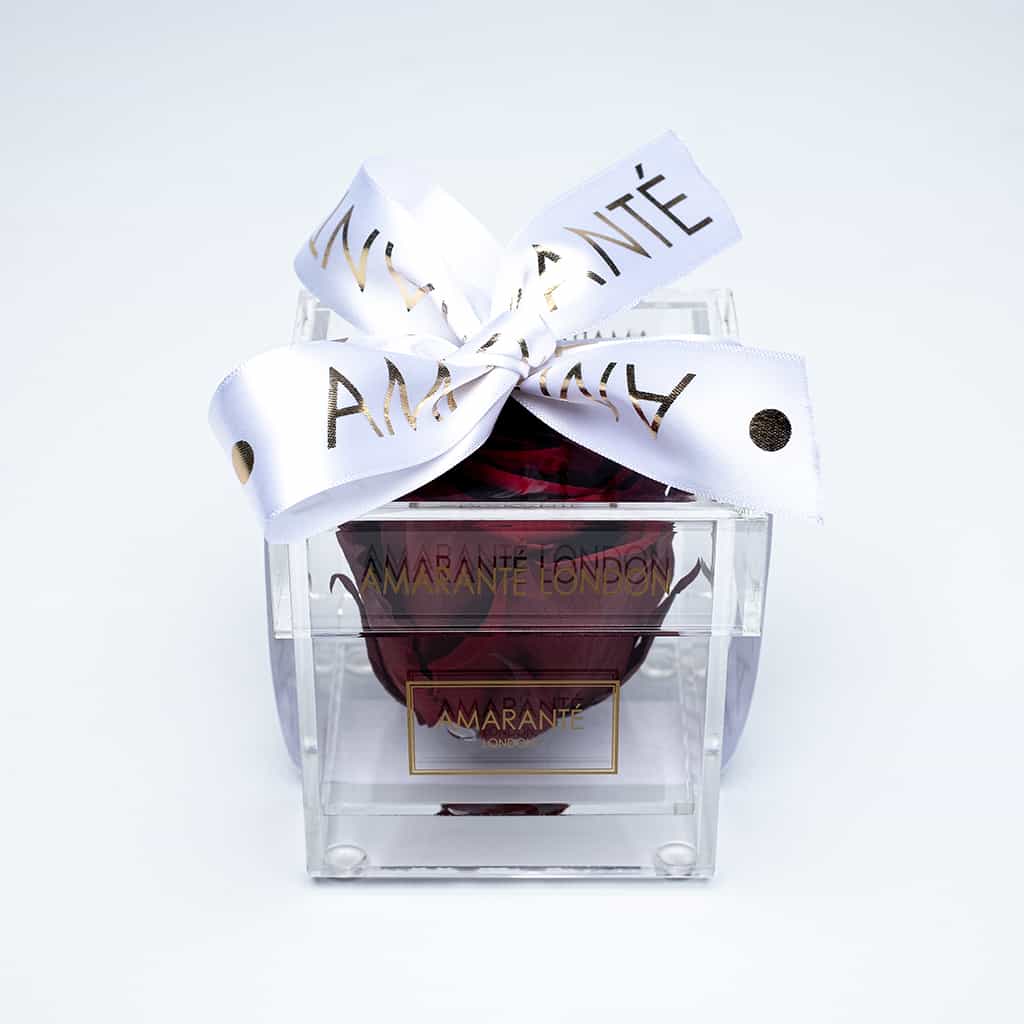 Luxurious deep red single infinity rose in an acrylic box dressed with stylish white ribbon, a perfect Valentine's Day gift.