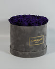 Charming dark purple Roses exhibited in a grey large round box