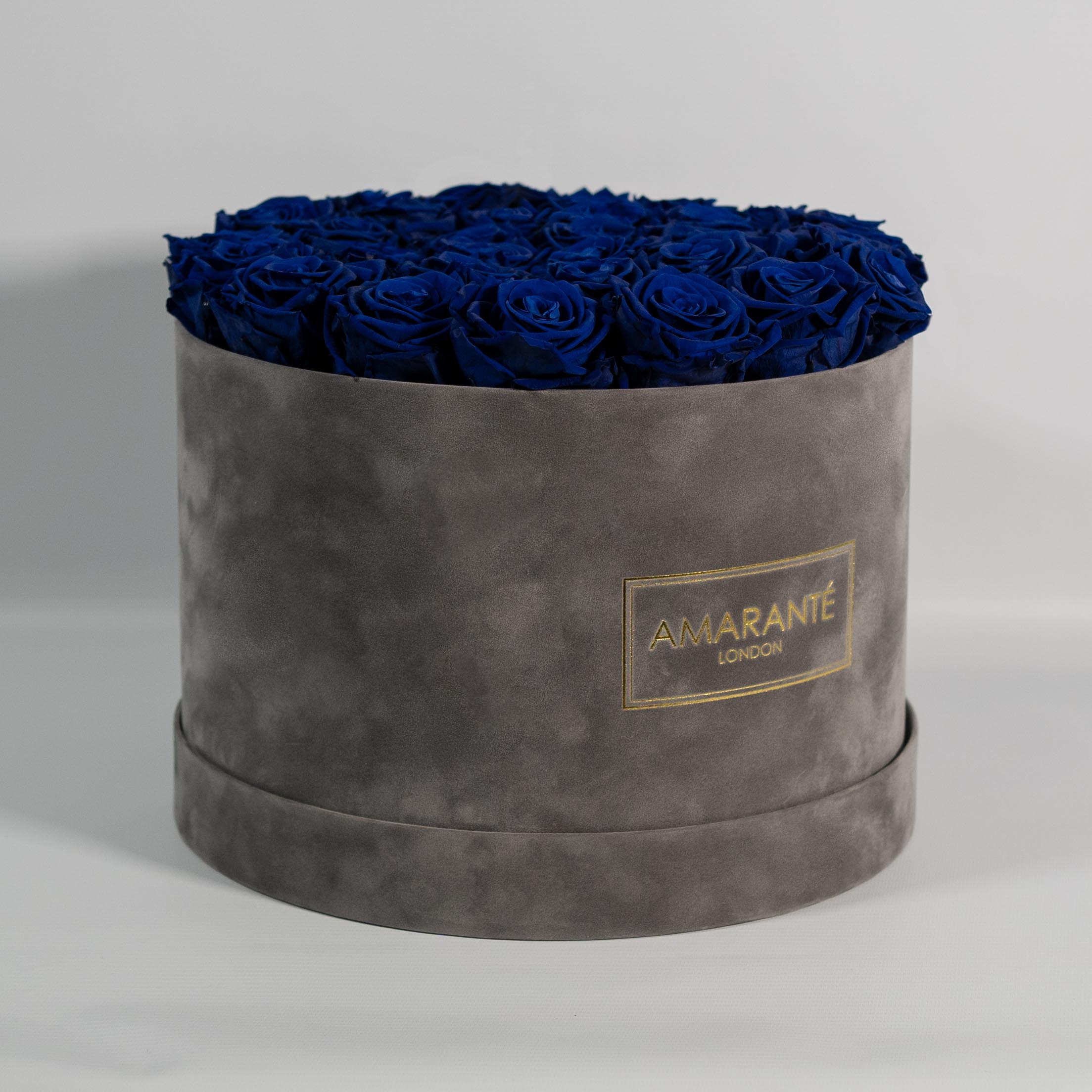 Stunning Royal blue Roses, denoting good health, luck, and healing.