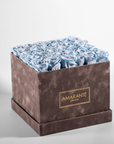 Cool light blue Roes displayed in a large grey suede box